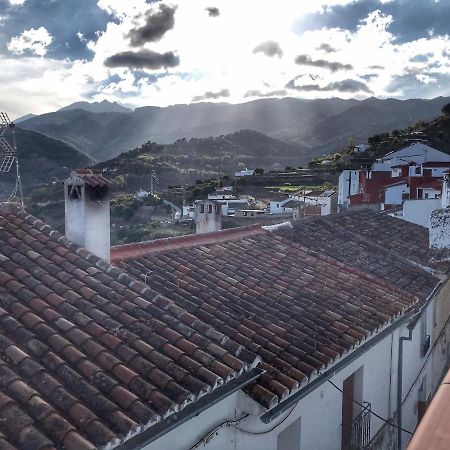 YunqueraCasa Juncaria别墅 外观 照片