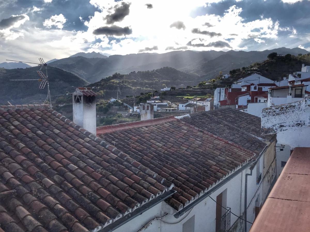 YunqueraCasa Juncaria别墅 外观 照片